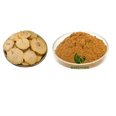 Akebia szár PE 10:1 - 200:1