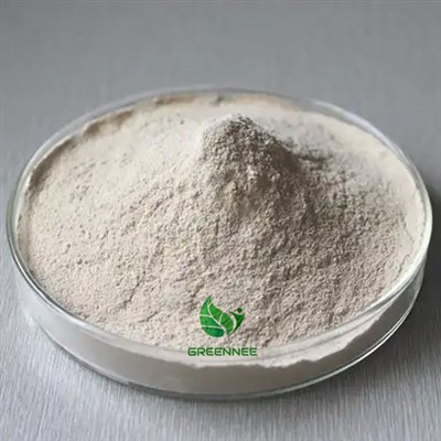 Pankreatin 10,000-170,000ALU/g