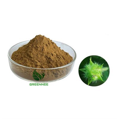 A Tribulus terrestris 90% -os kivonja a szaponinokat